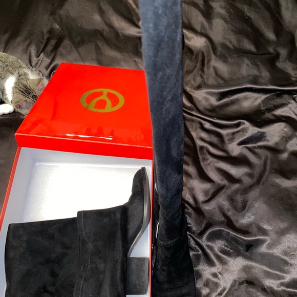 Wishbone collection thigh-high suede boots - Picture 3 of 4